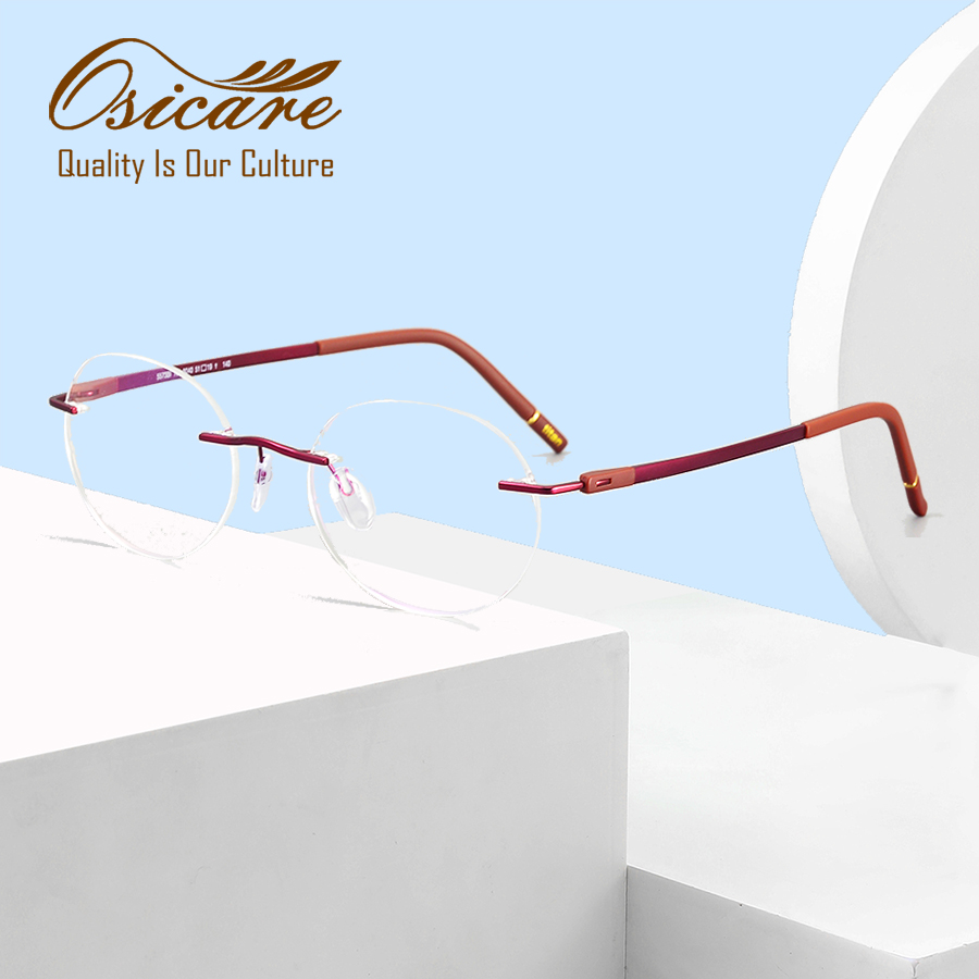 SL5573BI Titanium Frames